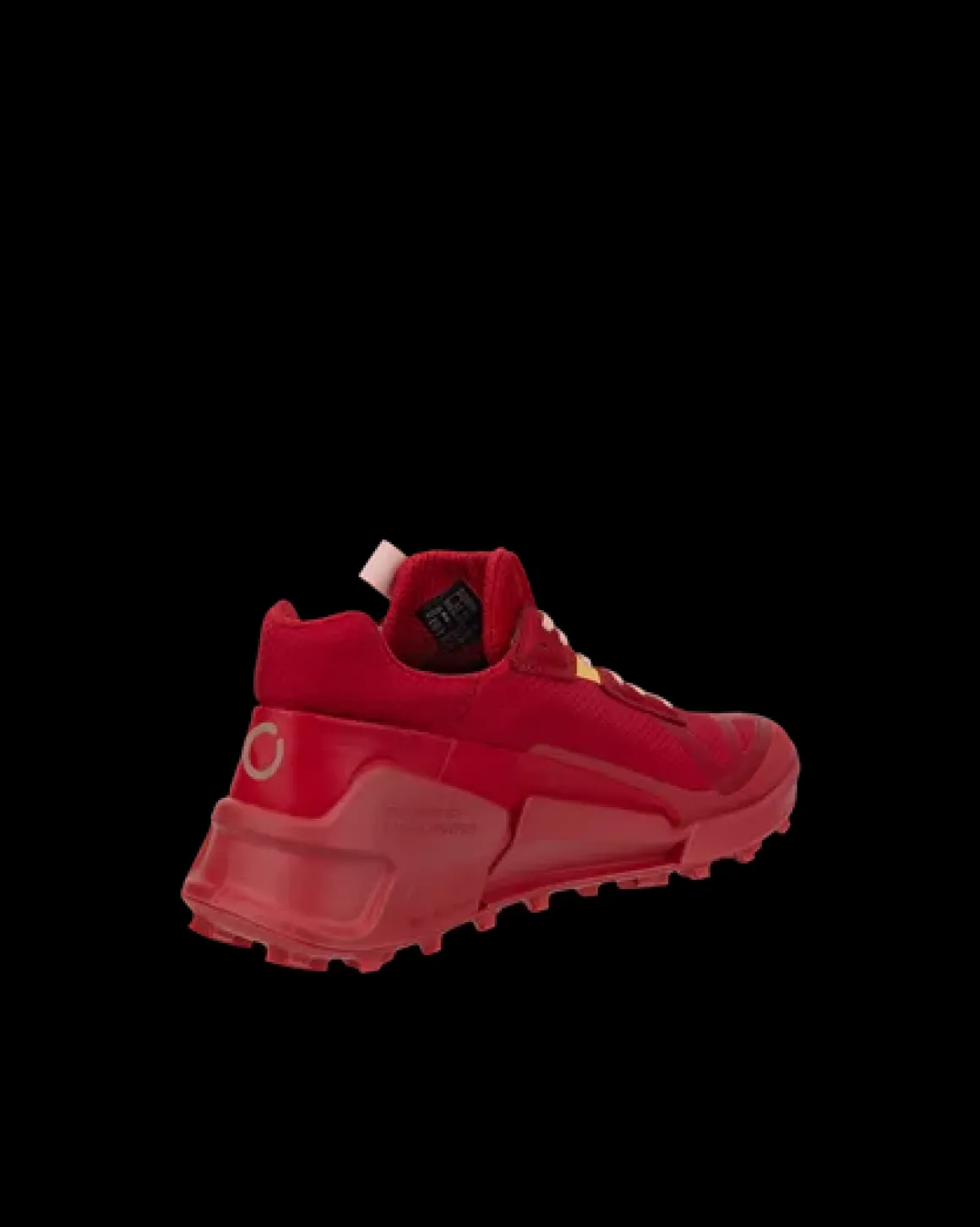 Dame ECCO BIOM 2.1 X COUNTRY W