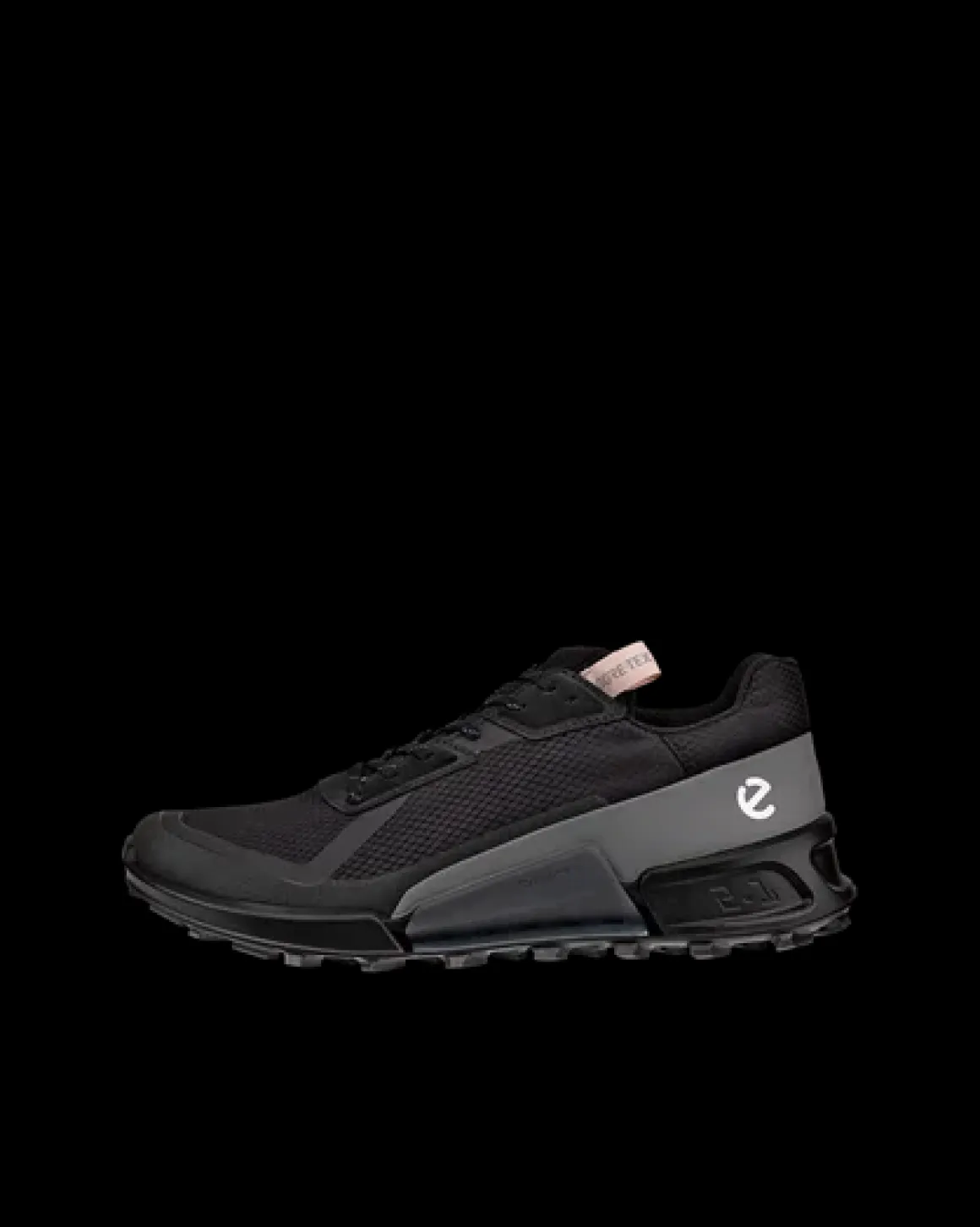 Dame ECCO BIOM 2.1 X COUNTRY W