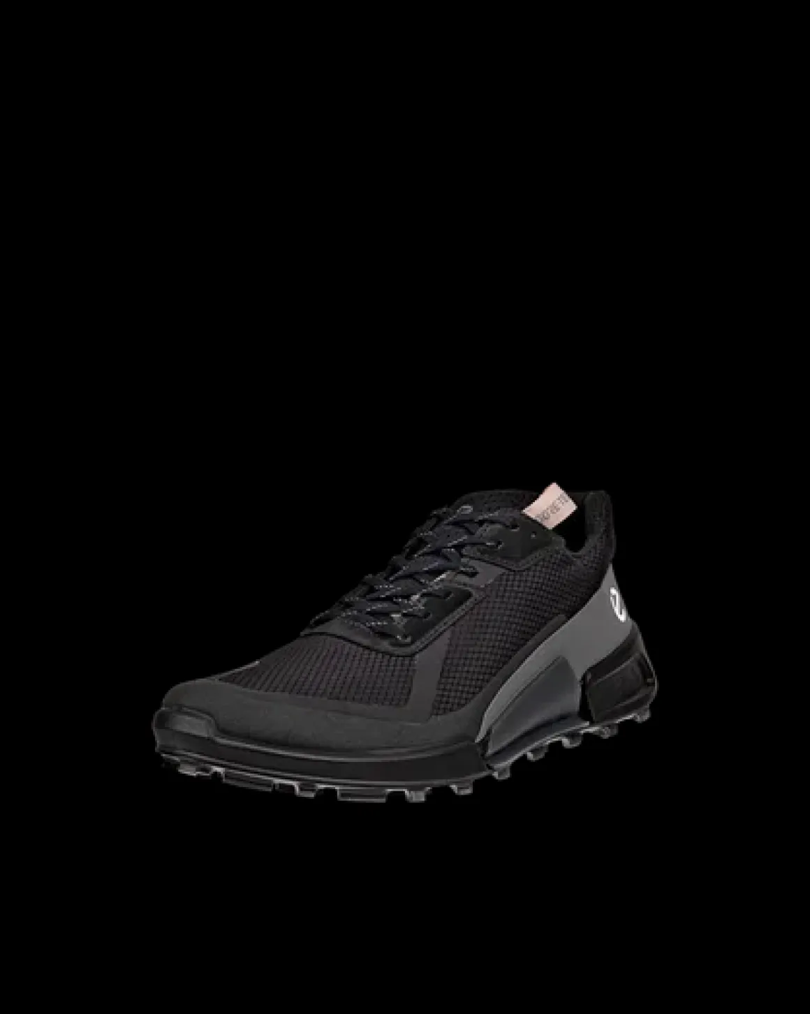 Dame ECCO BIOM 2.1 X COUNTRY W