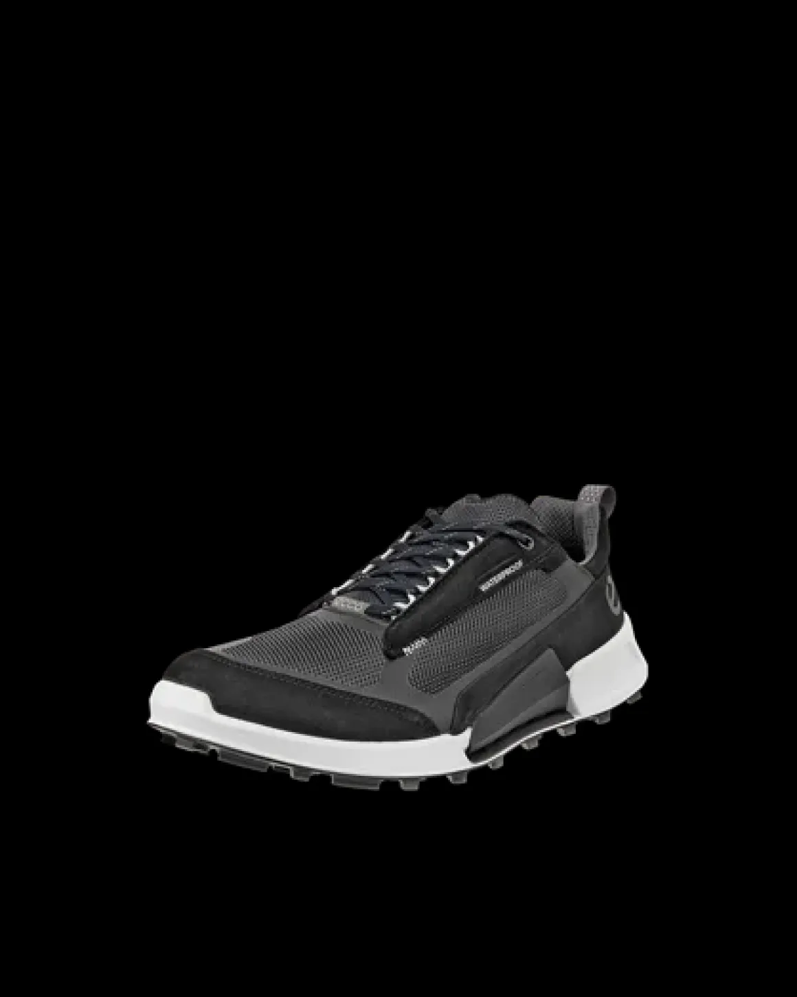 ECCO BIOM 2.1 X MOUNTAIN M