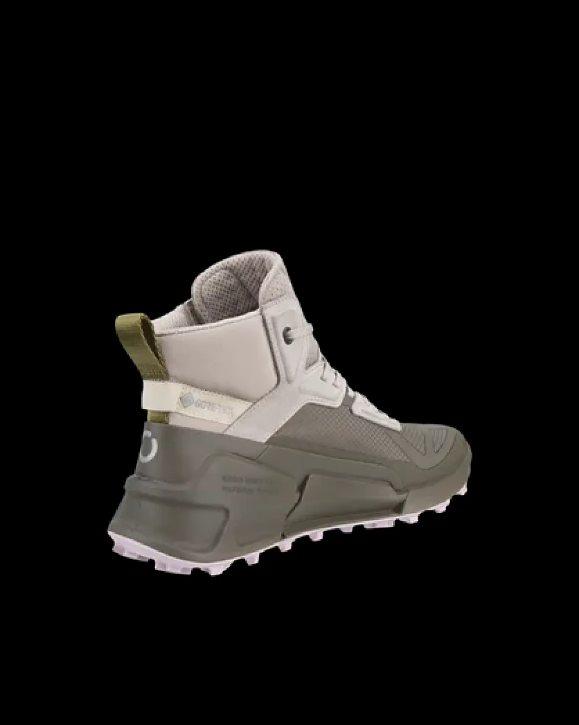 Dame ECCO BIOM 2.1 X MOUNTAIN W